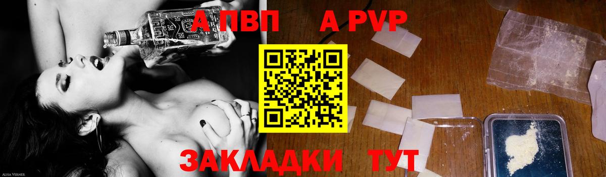 A PVP СК Котлас