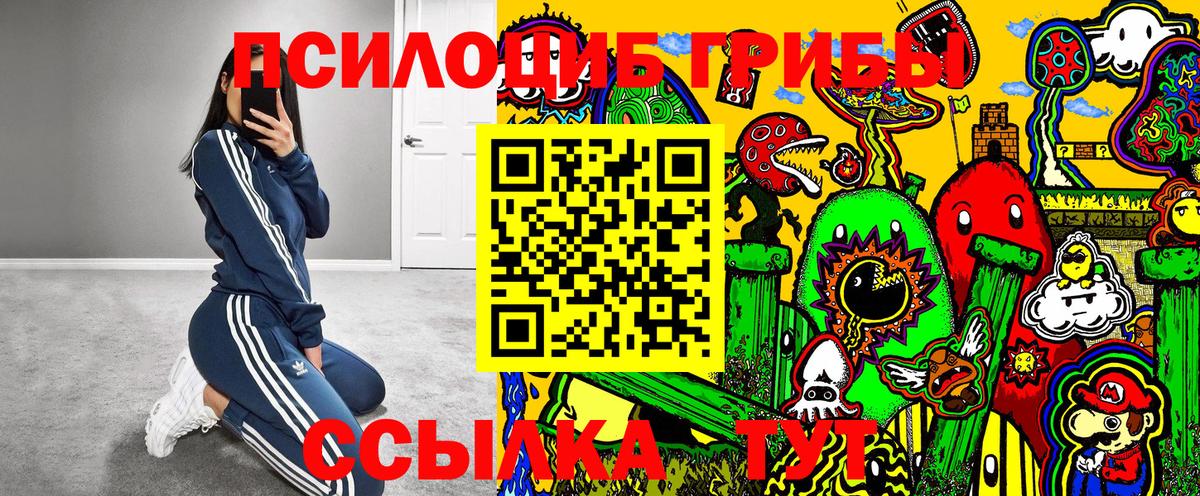 Котлас  Псилоцибиновые грибы прущие грибы  Псилоцибиновые грибы ЛСД  Вход с VPN 