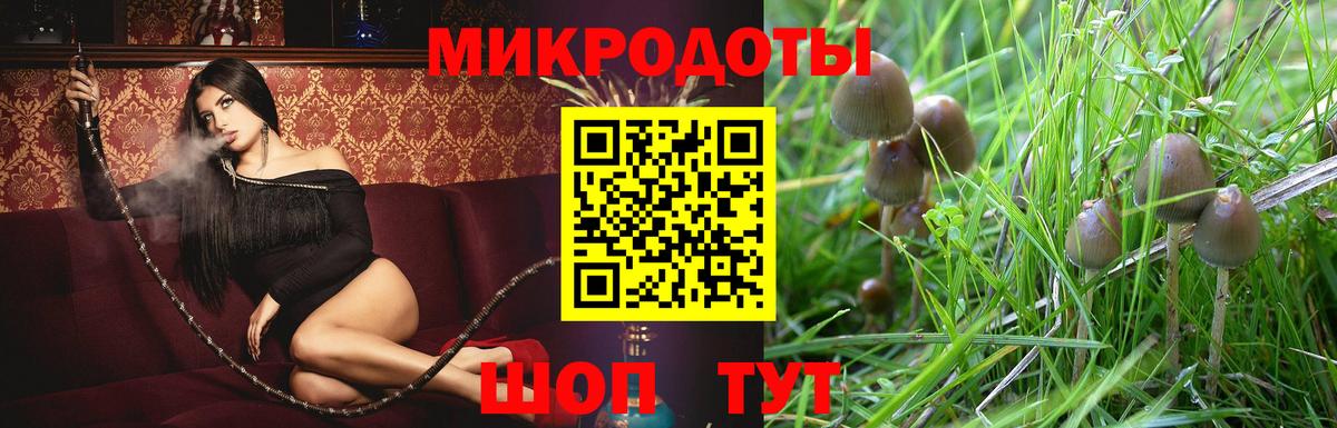 Галлюциногенные грибы прущие грибы Котлас